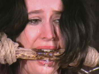 The Cane