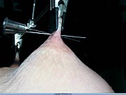 a255.jpg